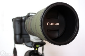 Canon 300 mm f4L IS USM