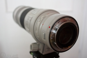 Canon EF300mm f4L IS USM plus Canon extender 1.4x III
