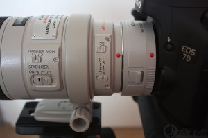 Canon EF300mm f4L IS USM plus Canon extender 1.4x III