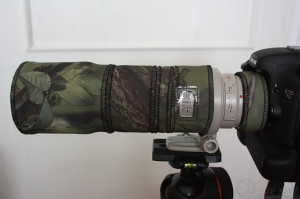 Canon EF300 mm f4L IS USM plus Canon extender 1.4x III a maskování