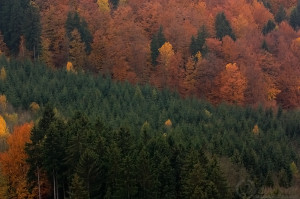 Podzimní pohled z hradu Sovinec